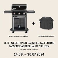 Weber Gasgrill Spirit E-310 Classic schwarz
