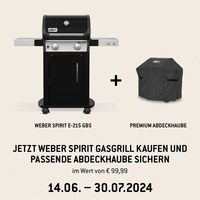 Weber Gasgrill Spirit E-215 GBS Black schwarz/edelstahl