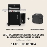 Gasgrill Spirit EP-335 Premium GBS