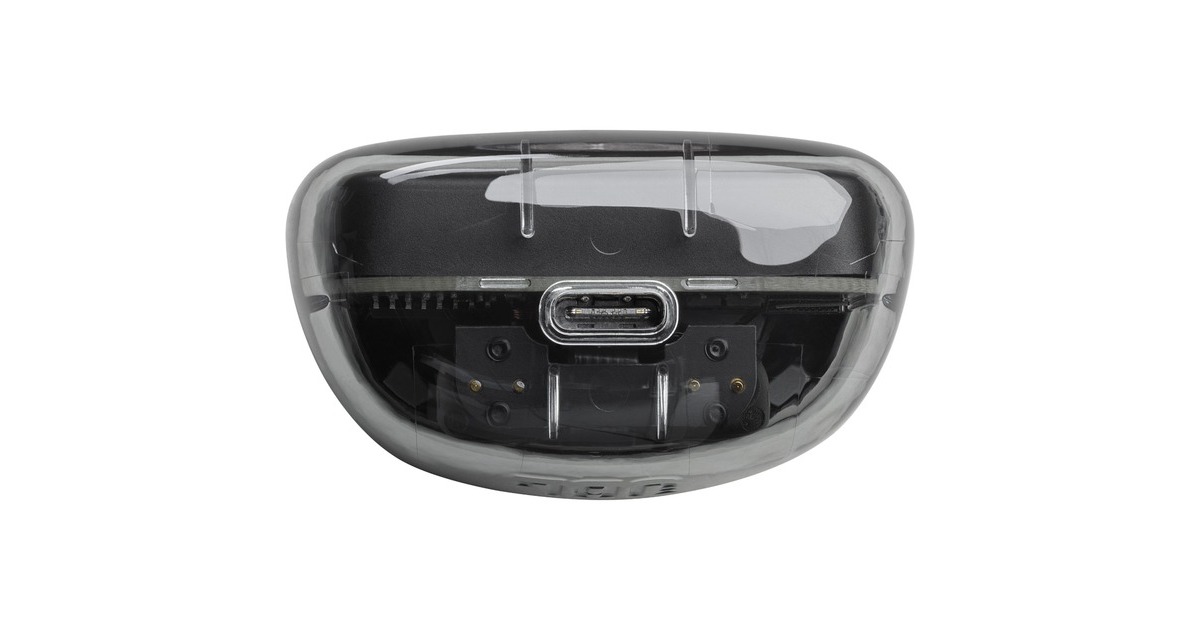 JBL Tune Flex Ghost Edition, Kopfhörer schiefer/transparent, USB-C 
