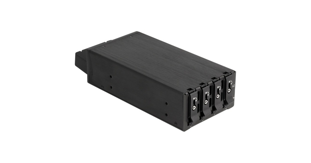 DeLOCK Slim Bay Wechselrahmen für 4 x M.2 NVMe SSD mit Slim SAS 
