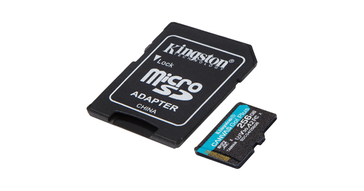 Gigastone Carte Mémoire 32 Go Lot de 5 Cartes, Caméra Plus Série
