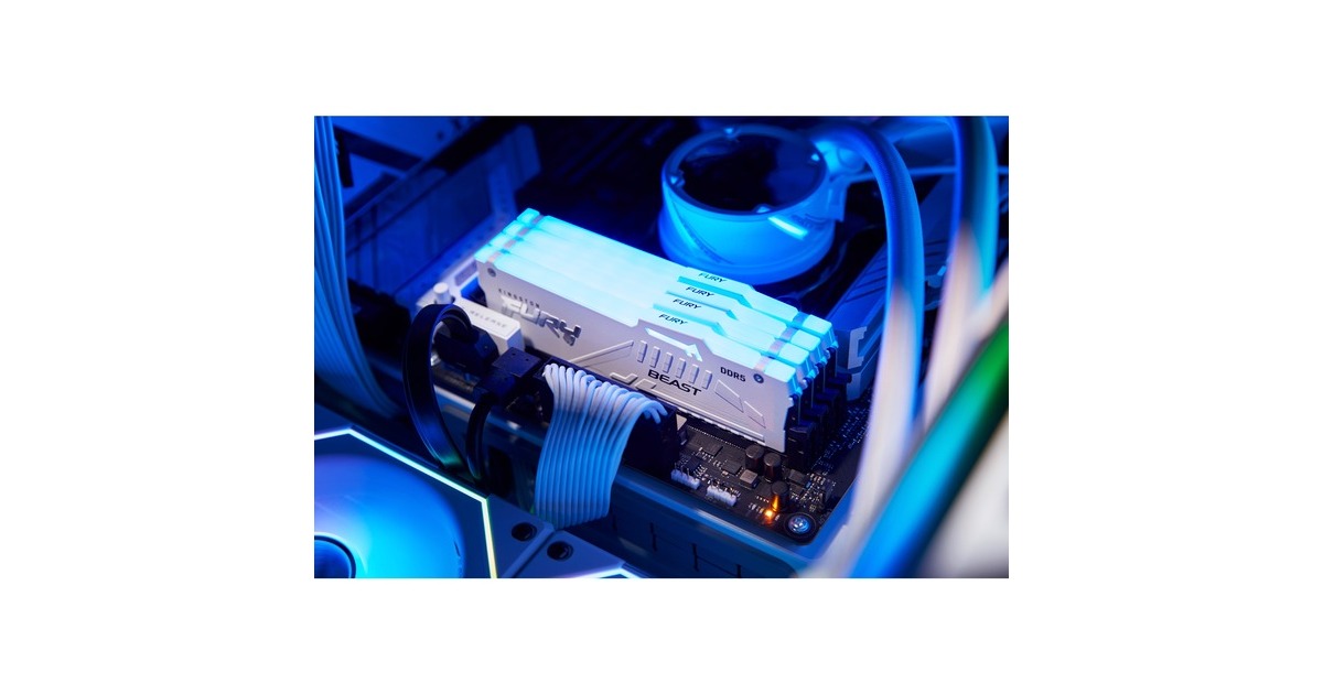 Kingston FURY DIMM 16 GB DDR5-5600 , Arbeitsspeicher weiß