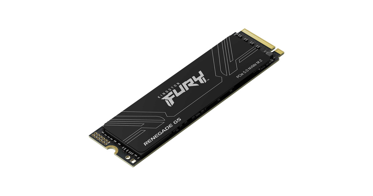 ※max tigers　RENEGADE No.4 Kingston FURY Renegade G5 4 TB, SSD schwarz, PCIe 5.0 x4, NVMe, M