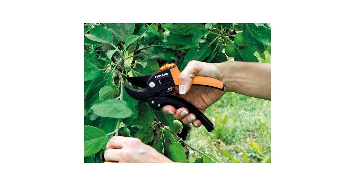48+ Fiskars Amboss Gartenschere, Sie ist mit der powergear™