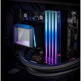 ADATA DIMM 16 GB DDR5-6400, Arbeitsspeicher schwarz, AX5U6400C3216G-CNKRBK, XPG NOVAKEY RGB Black, INTEL XMP, AMD EXPO