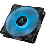 ARCTIC P12 PWM PST RGB 0dB 120x120x25, Gehäuselüfter schwarz/transparent, 120 mm