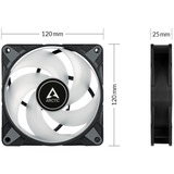 ARCTIC P12 PWM PST RGB 0dB 120x120x25, Gehäuselüfter schwarz/transparent, 120 mm