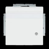 Busch-Jaeger Schutzkontakt-Steckdose Einsatz weiß, Retail