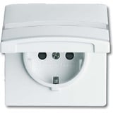 Busch-Jaeger Schutzkontakt-Steckdoseneinsatz Typ 20 EUGKBN-34-101 weiß, Retail