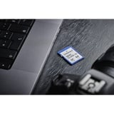 Intenso Secure Digital SDHC Card 32 GB, Speicherkarte Class 10