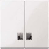 Merten Wippe mit Symbolfenster für Serienschalter, zweiteilige Taste, glänzend, Thermoplast weiß (glänzend), Retail