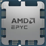 AMD EPYC™ 4465P, Prozessor Tray-Version