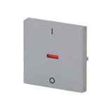 Busch-Jaeger Kontroll-Wippe mit Aufdruck Ein Aus, Schalter Retail