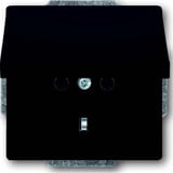 Busch-Jaeger Steckdose mit Deckel CEE 7/3 Typ F anthrazit, Retail