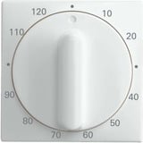 Busch-Jaeger Zentralscheibe, Rahmen weiß, Retail