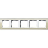 Gira Abdeckrahmen 5fach, Abdeckung Retail