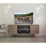 Medion LIFE MD 832003 mit DVD-Player, LED-Fernseher 80 cm (32 Zoll), schwarz, WXGA, Triple Tuner, Mediaplayer