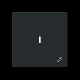 Busch-Jaeger Wippe mit Symbol Schlüssel mit transparenter Kalotte schwarz, Retail