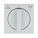 Busch-Jaeger Zentralscheibe Jalousie mit Drehgriff, Abdeckung Retail