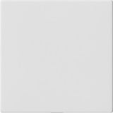 Gira Blindabdeckung ohne Tragring weiß, Retail