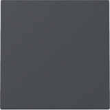 Gira Wippe einteilige Wippe für Schalter und Taster mit Klemmbefestigung aus Kunststoff anthrazit, Retail