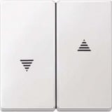 Merten Wippe für Rollladenschalter und Wipptaster Einsatz, Typ 434419, zweiteilige Wippe weiß (glänzend), Retail