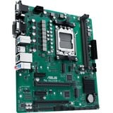 ASUS PRO A620M-C-CSM, Mainboard grün