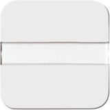 Busch-Jaeger Wippe mit Lichtleiter und Beschriftung 2510 NLI-214 Retail