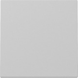 Gira Wippe lackiert matt grau, Retail