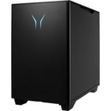 Medion ERAZER Bandit P20 (MD35462), Gaming-PC schwarz/transparent, Windows 11 Home 64-Bit