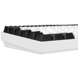 Sharkoon SKILLER SGK50 S3, Gaming-Tastatur weiß, DE-Layout, Gateron Red