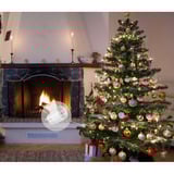 Shelly Weihnachtsbundle 1, Set 