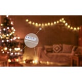 Shelly Weihnachtsbundle 1, Set 