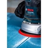 Bosch Expert C470 Schleifblatt, Ø 125mm, K100 Multilochung 5 Stück, für Exzenterschleifer