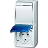 Busch-Jaeger Schutzkontakt Steckdose zweifach senkrecht blau, Retail