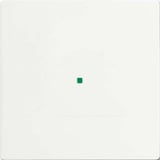 Busch-Jaeger Wippe Studio Weiss Matt Future Linear weiß, Retail