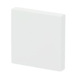 Busch-Jaeger Wippe Studio Weiss Matt Future Linear weiß, Retail