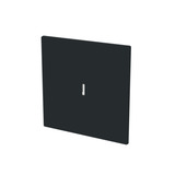 Busch-Jaeger Wippe mit Aufdruck schwarz, Retail