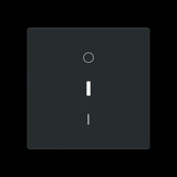 Busch-Jaeger Wippe mit Aufdruck schwarz, Retail