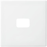 Busch-Jaeger Wippe offen für Symbol, Abdeckung Retail