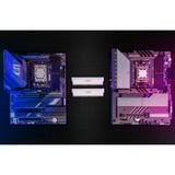 Crucial DIMM 64 GB DDR5-6400 (2x 32 GB) Dual-Kit, Arbeitsspeicher weiß, CP2K32G64C40U5W, PRO OC, INTEL XMP, AMD EXPO