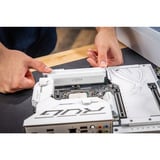 Crucial DIMM 64 GB DDR5-6400 (2x 32 GB) Dual-Kit, Arbeitsspeicher weiß, CP2K32G64C40U5W, PRO OC, INTEL XMP, AMD EXPO