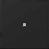 Gira Wippe gerade Kontrollfenster, Abdeckung schwarz, Retail