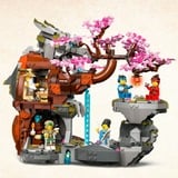 LEGO 71819 Ninjago Drachenstein-Tempel, Konstruktionsspielzeug 