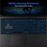 Medion Deputy P60 Core (30039216), Gaming-Notebook Intel® Core™ i9-13900H, NVIDIA GeForce RTX 4070, 16 GB DDR4, 1 TB (1 TB SSD), Windows 11 Home 64-Bit