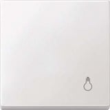 Merten Wippe Licht Wechselschalter Kreuzschalter Taster Einsatz weiß, Retail