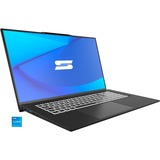 Schenker WORK 17 (10506045), Notebook grau, Windows 11 Pro 64-Bit, 60 Hz Display, 500 GB SSD
