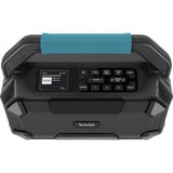 TechniSat VIOLA 231 OD, Radio schwarz, Retail