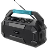 TechniSat VIOLA 231 OD, Radio schwarz, Retail
